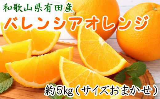 和歌山有田産バレンシアオレンジ約5kg（サイズおまかせ） ※着日指定 ...