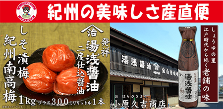 【Ａ級品】紀州南高梅しそ漬梅干1kgと湯浅醤油1本　美浜町 ※離島への配送不可