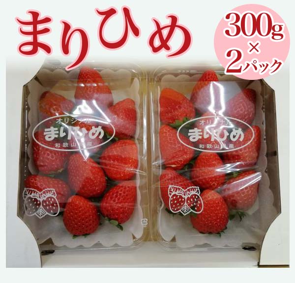 まりひめ いちご(箱込み約700g) 3 4収穫・発送 苺 イチゴ - 果物