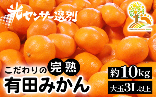 光センサー選別／ 農家直送 有田みかん 約10kg 大玉3L以上 有機質肥料