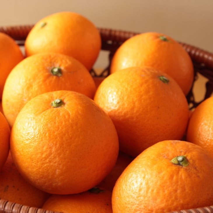 付与 厳選 有田産清見オレンジ約7kg サイズおまかせ 秀品 ※2023年2月 