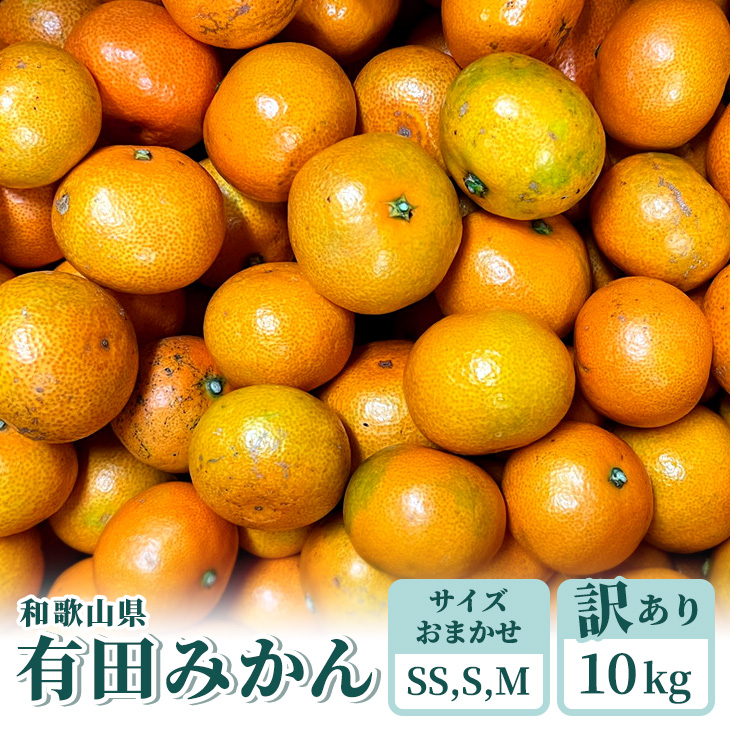 和歌山県産 有田みかん わけあり 10kg×6箱【小玉】ミカン フルーツ 柑橘