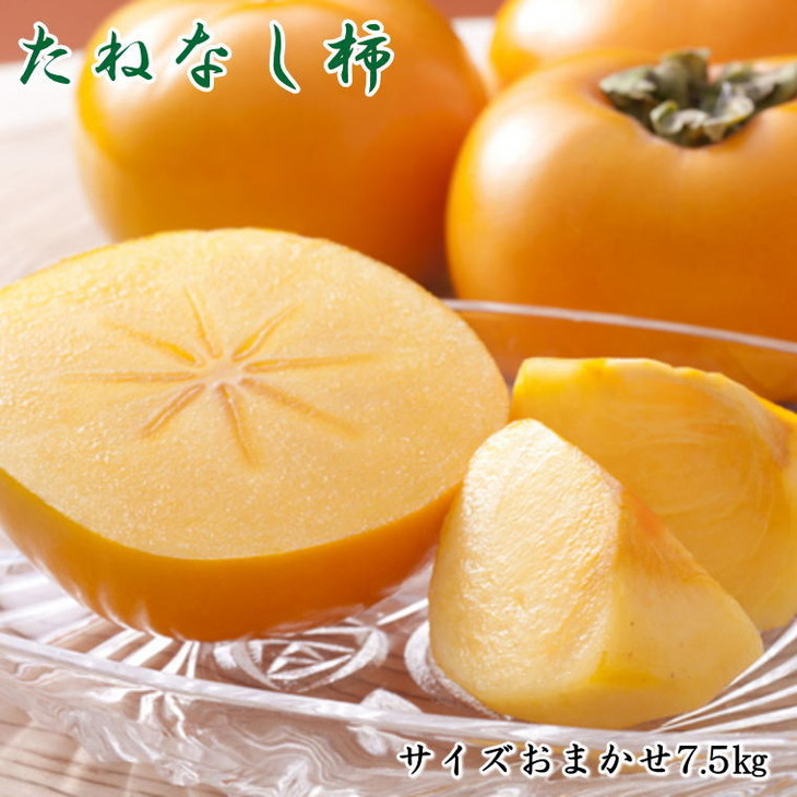 柿 7.5kg 種なし柿 和歌山産 ご家庭用 送料無料 食品