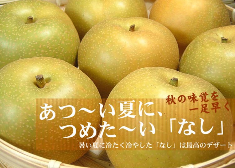 和歌山の梨（なし）豊水品種 [約4kg]【秀品：サイズおまかせ】和歌山県