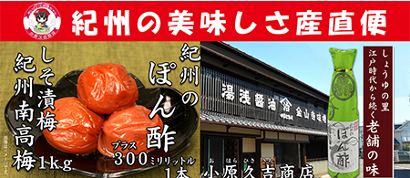 【Ａ級品】紀州南高梅しそ漬梅干1kgと紀州のぽんず1本　美浜町 ※離島への配送不可