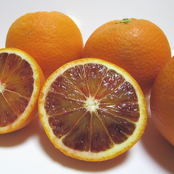 【高級柑橘】濃厚ブラッドオレンジ