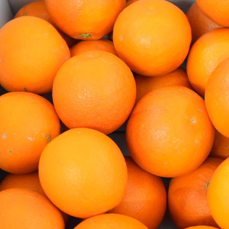 【希少・高級柑橘】国産濃厚ブラッドオレンジ「タロッコ種」約3kg ※2023年4月中旬～4月下旬頃順次発送予定