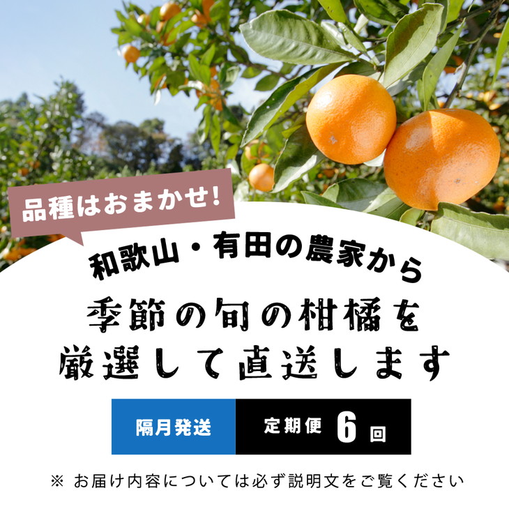 定期便/隔月配送/全6回】厳選・和歌山の季節の柑橘3kg農家直送フルーツ定期便 | 有田 みかん 蜜柑 オレンジ 八朔 せとか ポンカン セミノール  バレンシア いよかん 不知火 ※北海道・沖縄・離島への配送不可 - ふるさとパレット ～東急グループのふるさと納税～