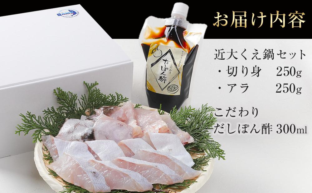 近大くえ鍋セット ( 500g ）こだわりだしぽん酢付き【2025年2月上旬～中旬発送】