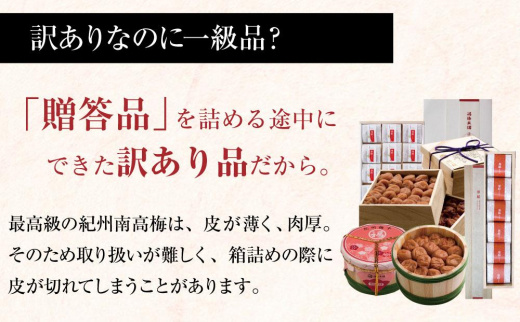 しそ漬梅　紀州南高梅 産地直送　訳あり　皮切れ500g