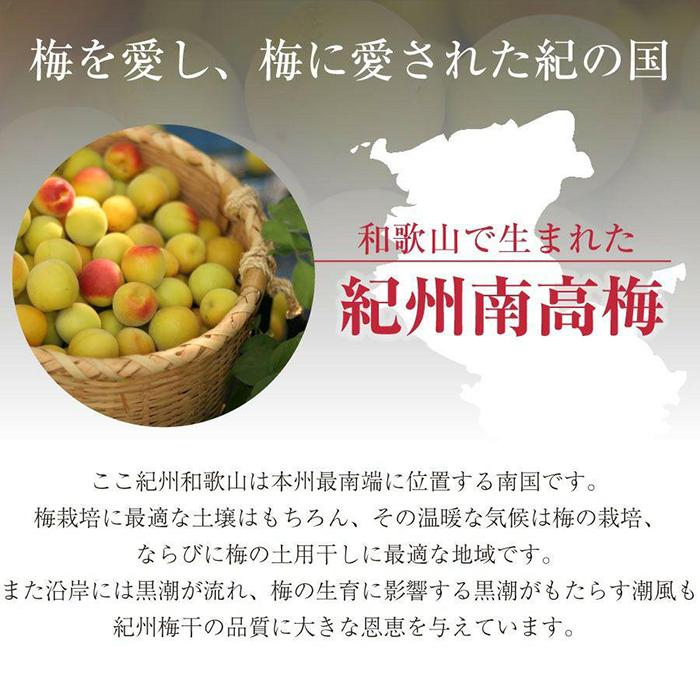 紀州南高梅　超大粒　mehari_ume6粒