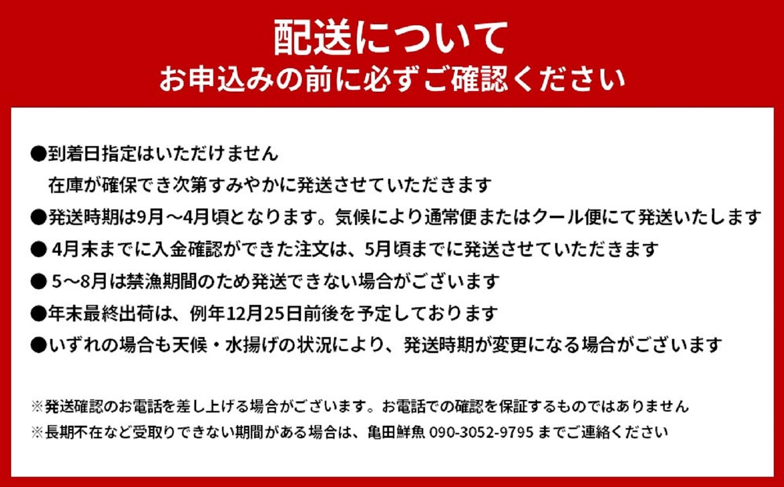 活 伊勢海老 2尾〜3尾 セット 合計 約1kg 産地直送 番長おススメ