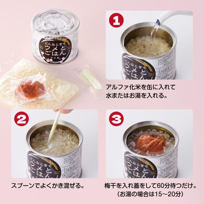 どんなときも梅とご飯 ウメ缶 24缶セット 非常食 保存食 備蓄 非常食セット 防災グッズ 防災 アウトドア キャンプ 缶詰 紀州南高梅 梅干し アルファ米 ご飯 和歌山県 白浜町 ふるさと納税 5年保存