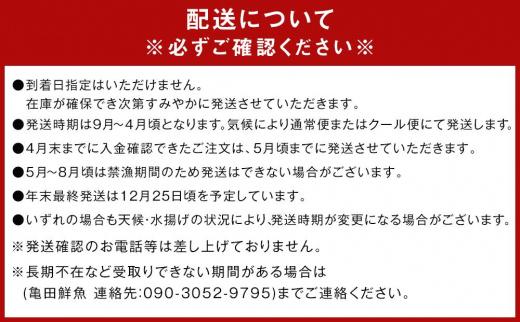 冷凍 伊勢海老 お鍋用 約 700g 〜 800g 産地直送