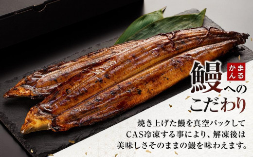 うなぎ蒲焼き2本セット（タレ・山椒付き）（合計：250～300ｇ)