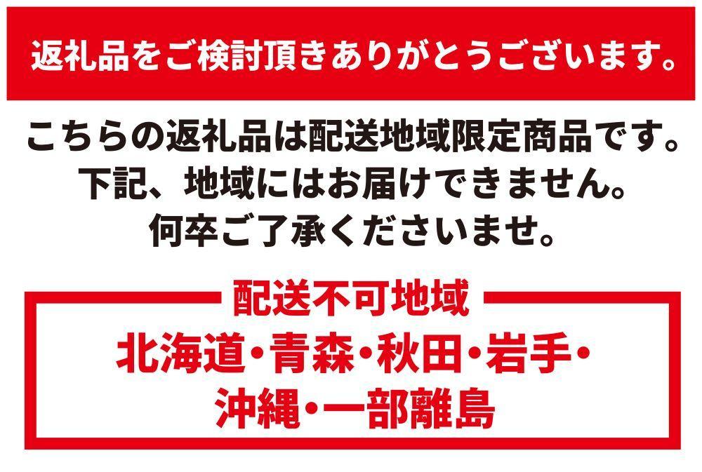 【先行予約】ヘラクレスオオカブト ペア 少し訳あり（オス120mm～140mm前後・メスフリー）※配送不可地域あり ※期間限定 ※数量限定【2025年3月より順次発送】