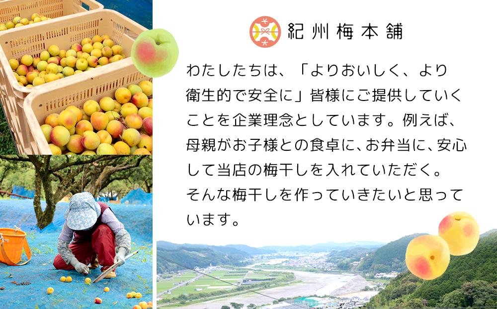 紀州南高梅 塩分約2.7% 特大粒 訳ありつぶれ梅 はちみつ梅 400g×2個 800g 減塩梅干し 紀州梅本舗【特大粒 つぶれ梅 南高梅 ワケあり 梅干し お漬物 和歌山県 白浜町】