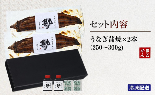 うなぎ蒲焼き2本セット（タレ・山椒付き）（合計：250～300ｇ)