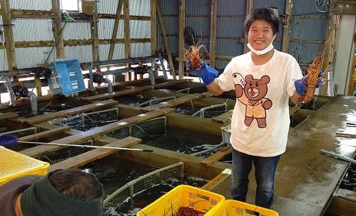 活 伊勢海老 2尾 〜 8尾 合計 約 900g 〜 1.1kg セット 産地直送 船長ジュニア りん君おススメ