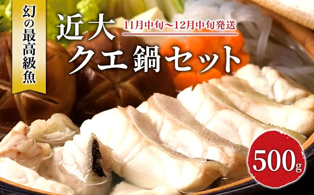 近大くえ鍋セット ( 500g ）こだわりだしぽん酢付き【2024年11月中旬～12月中旬発送】