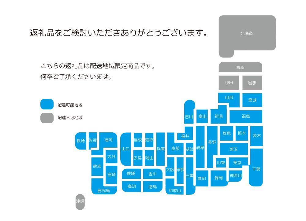 【先行予約】ヘラクレスオオカブト ペア 少し訳あり（オス120mm～140mm前後・メスフリー）※配送不可地域あり ※期間限定 ※数量限定【2025年3月より順次発送】