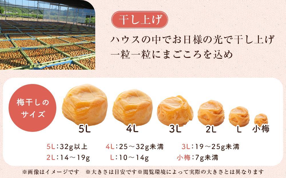 まこごろ梅 はちみつ味 2Lサイズ 1kg