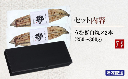 うなぎ白焼き2本セット（合計：250～300ｇ)