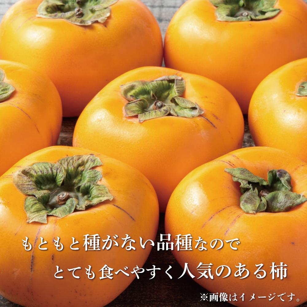 【2024年発送】種なし柿 3kg以上【白浜グルメ市場】【JG1】