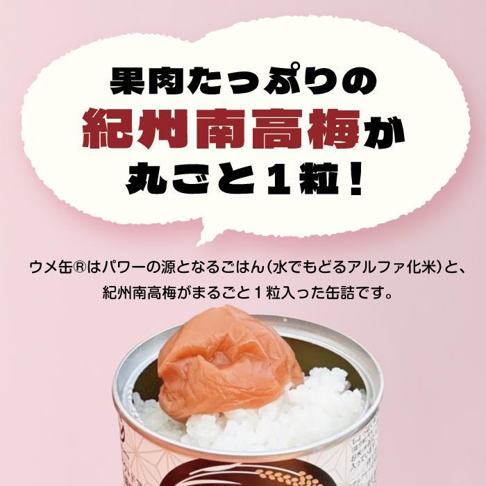 どんなときも梅とご飯 ウメ缶 １２缶セット 非常食 保存食 備蓄 非常食セット 防災グッズ 防災 アウトドア キャンプ 缶詰 紀州南高梅 梅干し アルファ米 ご飯 和歌山県 白浜町 ふるさと納税 5年保存