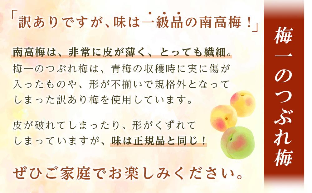 紀州南高梅《つぶれ梅セット》はちみつ梅 塩分8%(800g)【白浜グルメ市場】