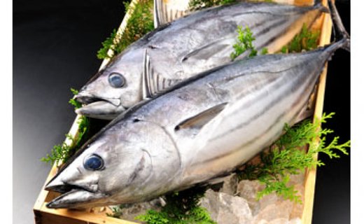 旬の天然魚介類の詰め合わせセット【A】 - ふるさとパレット ～東急