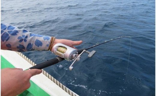 現役漁師と行く！海からの南紀白浜の景勝地を一望できるポイントでの釣り体験