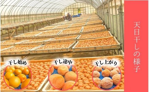 無添加　白干梅　(2Ｌサイズ、450ｇ）紀州南高梅　【梅農家厳選　手づくり梅干】