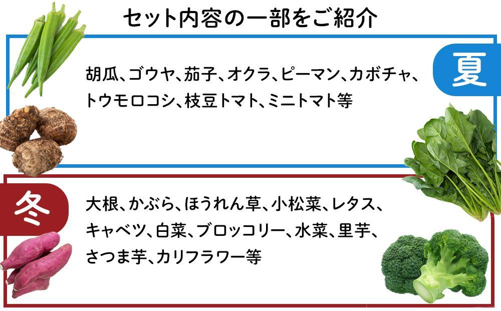 紀南の採れたて新鮮野菜・お米詰め合わせセット（8〜12品目詰め合わせ）