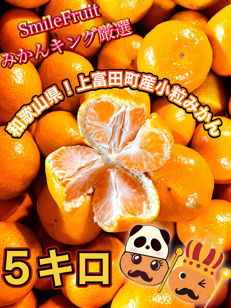 【先行予約】小粒みかん5Kg　高糖度！みかんの里！【SmileFruitみかんキング厳選】2024年10月下旬以降順次発送