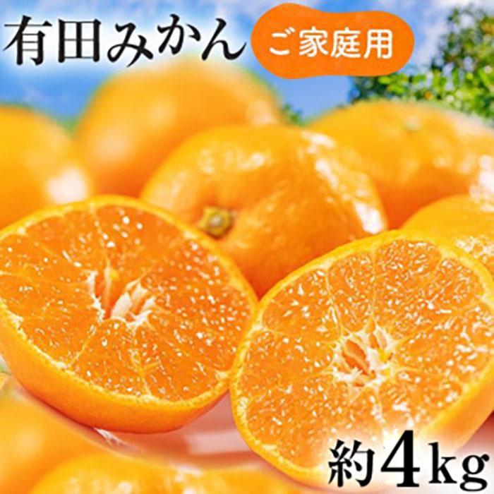 ご家庭用 濃厚完熟 有田みかん 約4kg【先行予約  2024年11月下旬〜12月中旬発送 】農家直送 訳あり