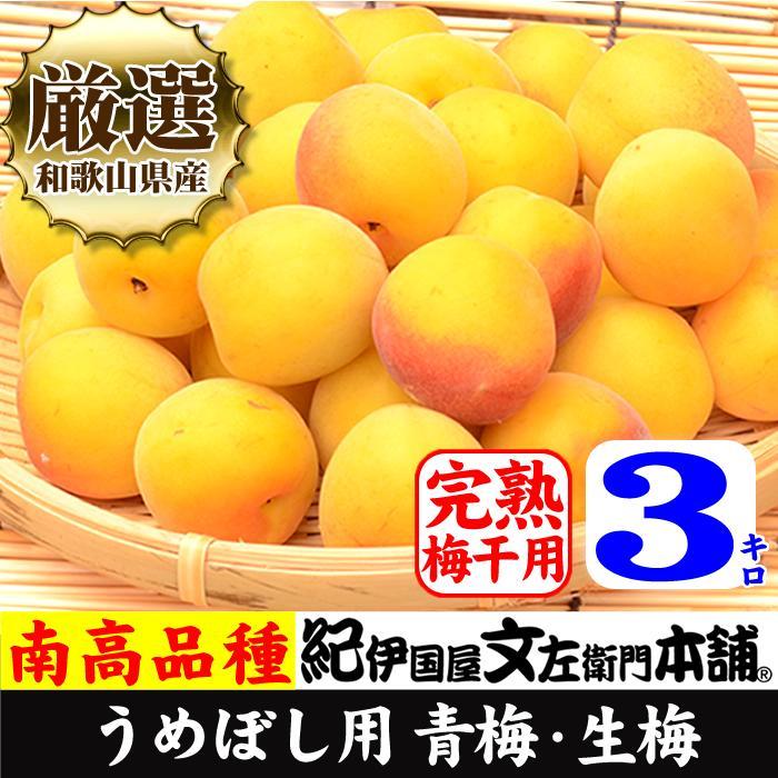 3kg 黄色【完熟】大サイズ 南高梅 梅干用フレッシュ青梅（生梅）／紀伊国屋文左衛門本舗