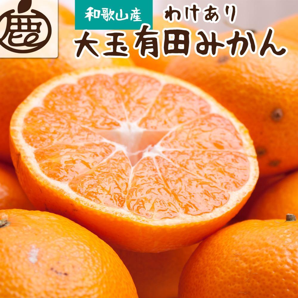 ＜11月より発送＞家庭用 大きな有田みかん5kg+150g（傷み補償分）訳あり