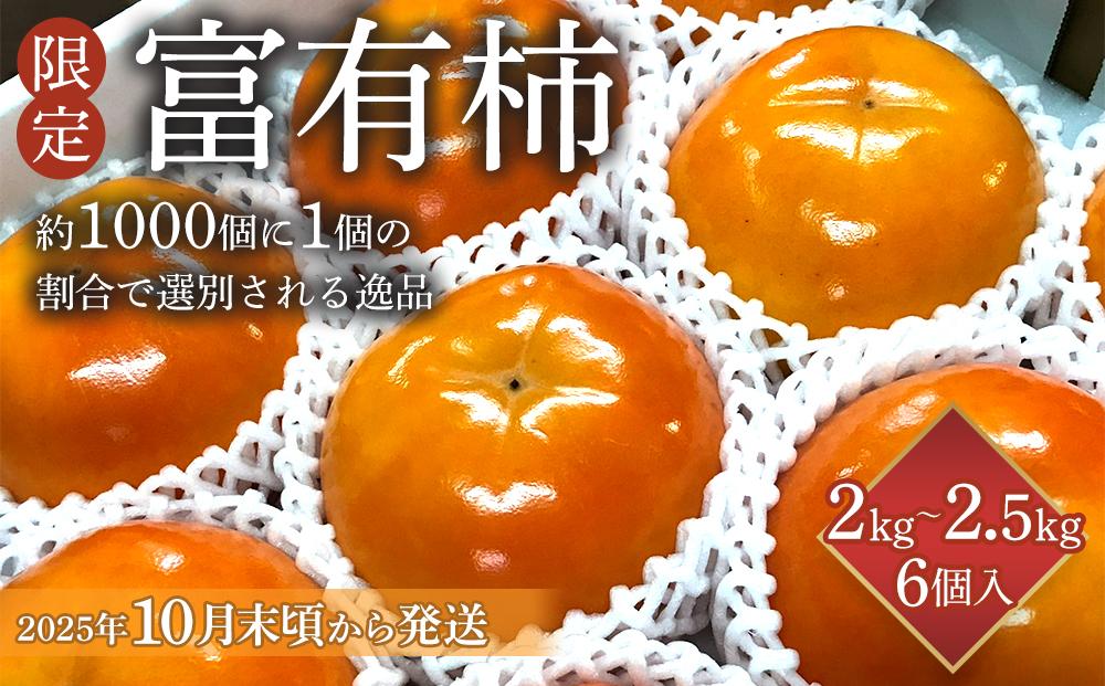 【限定】 富有柿 2kg～2.5kg 6個入 至高の逸品 約1000個に１個！【先行予約】【2025年10月末頃から発送】【KG5】