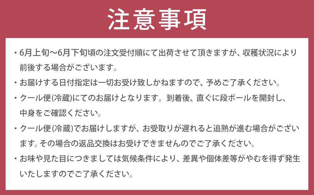 【2025年6月上旬以降発送】紀州南高梅(完熟梅) 5kg〈2Lサイズ〉