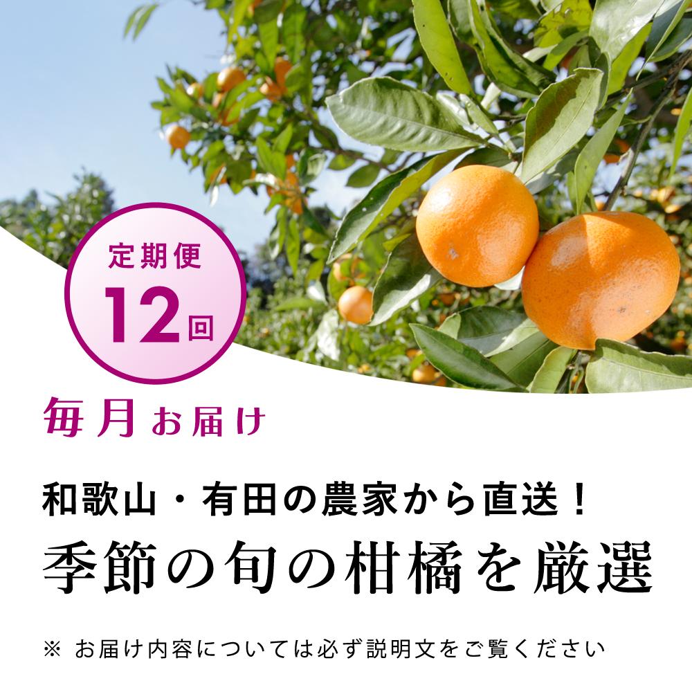 【 毎月発送 全12回 】 柑橘定期便B【IKE10】