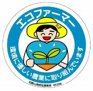 採れたてタネなし柿“Lサイズ”7.5kg＜2024年10月中旬〜10月下旬頃発送予定＞