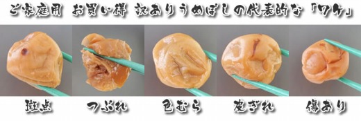 【ご家庭用】訳ありしそ梅干し800g 紀州うめぼし わけあり 和歌山県産 紀伊国屋文左衛門本舗