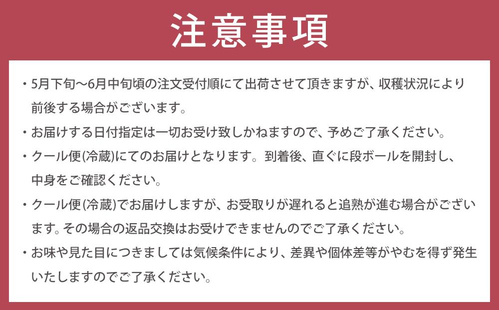 【2025年5月下旬以降発送】紀州南高梅(青梅) 5kg〈Lサイズ〉