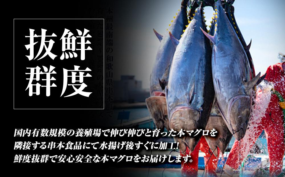 プレミア和歌山認証品 本マグロ（養殖）トロ＆赤身セット　1.35kg【年末発送（12月25日〜29日発送）】