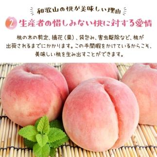 フルーツ王国　和歌山の桃　約２kg（fr-06）【先行予約】【2024年6月中旬〜7月下旬発送】