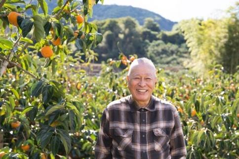 たね無渋柿T軸又はクリップ付紐付約14.5〜15kg　約60〜90個＜2024年10月中旬〜順次発送＞