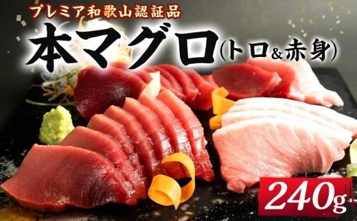 プレミア和歌山認証品 本マグロ（養殖）トロ＆赤身セット　240g【年末発送（12月25日〜29日発送）】