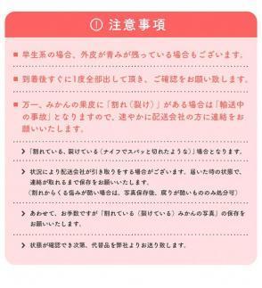 ご家庭用 濃厚完熟 有田みかん 約4kg【先行予約 2024年11月上旬〜11月下旬発送】 農家直送 訳あり