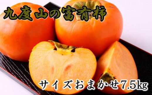 ≪柿の名産地≫九度山の富有柿約7.5kgサイズおまかせ★2024年11月上旬頃より順次発送